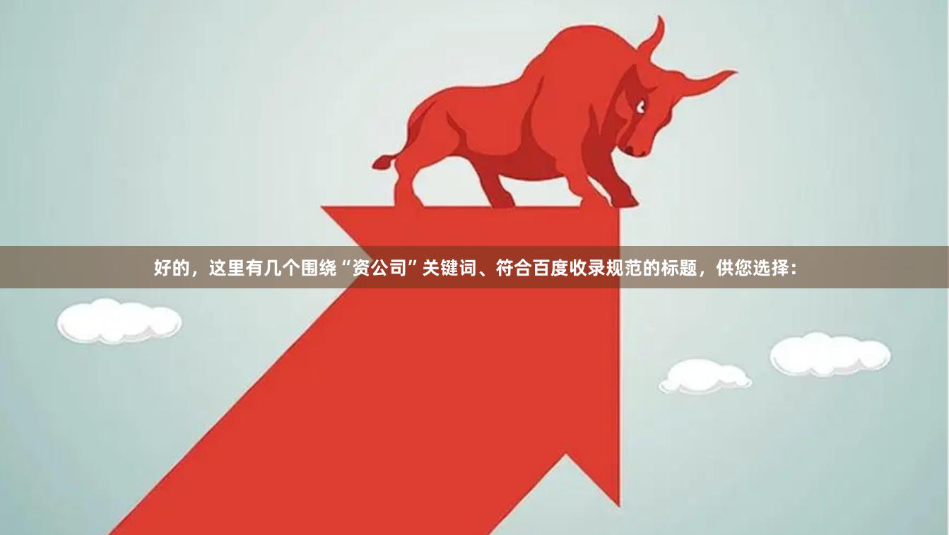 好的,这里有几个围绕“资公司”关键词、符合百度收录规范的标题,供您选择: