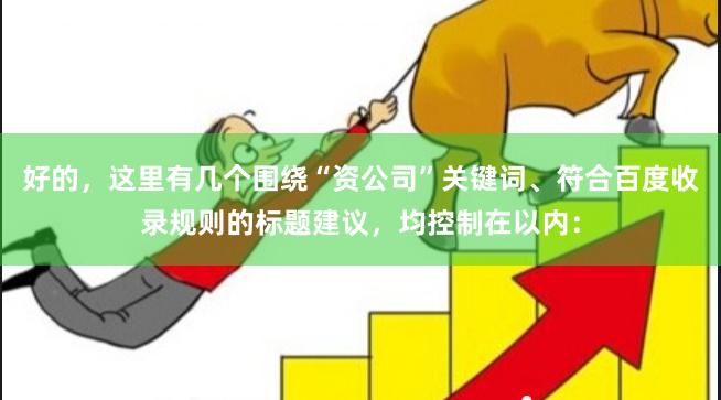 好的,这里有几个围绕“资公司”关键词、符合百度收录规则的标题建议,均控制在以内: